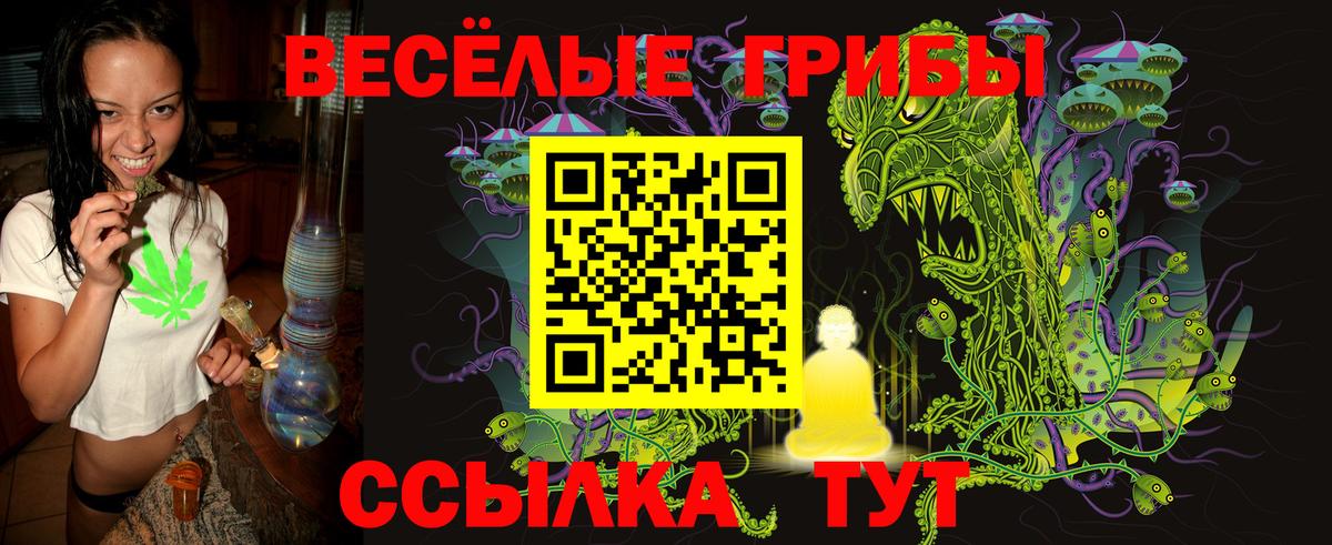 Галлюциногенные грибы Psilocybine cubensis  Вход с VPN  Азнакаево 
